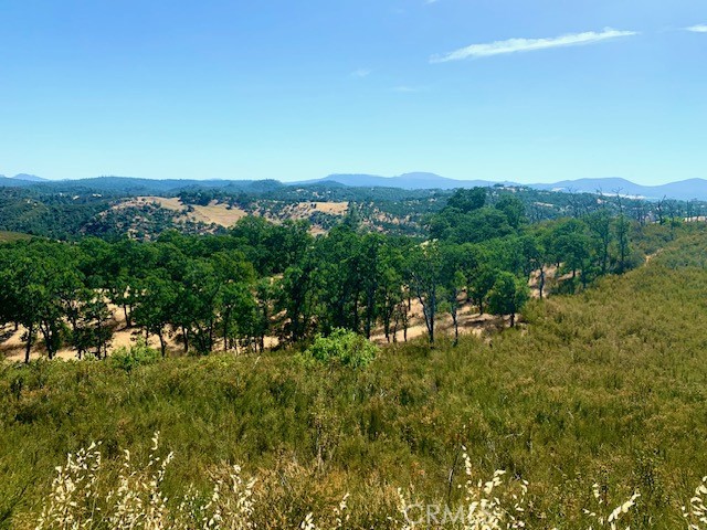 10455 Sky High Ridge Road, Lower Lake