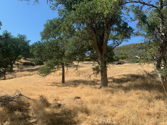 10455 Sky High Ridge Road, Lower Lake