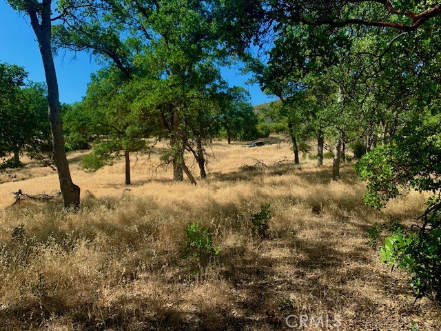 10455 Sky High Ridge Road, Lower Lake