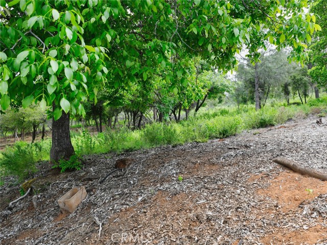 3210 Skyline Drive, Kelseyville