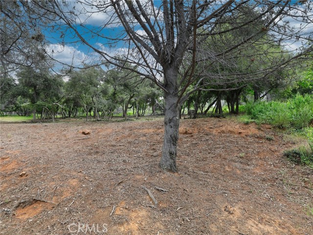 3210 Skyline Drive, Kelseyville