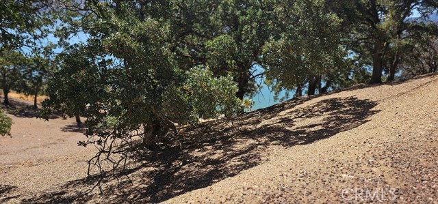10981 Pingree Road, Clearlake Oaks