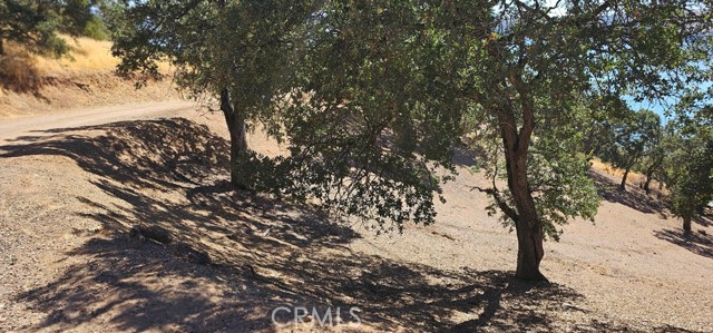 10981 Pingree Road, Clearlake Oaks