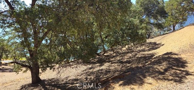 10981 Pingree Road, Clearlake Oaks