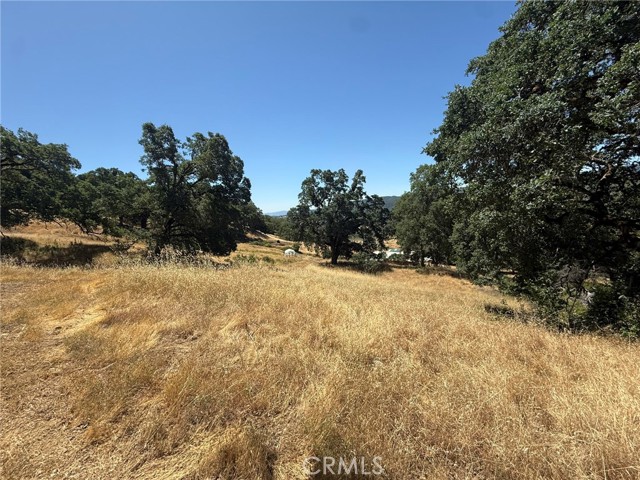 10606 Bachelor Valley Road, Upper Lake