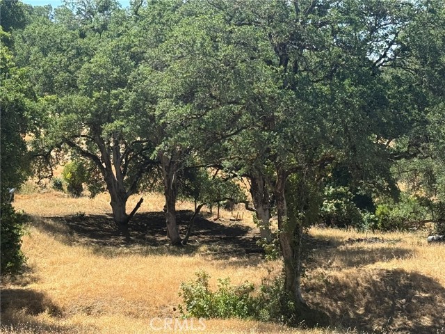 10606 Bachelor Valley Road, Upper Lake