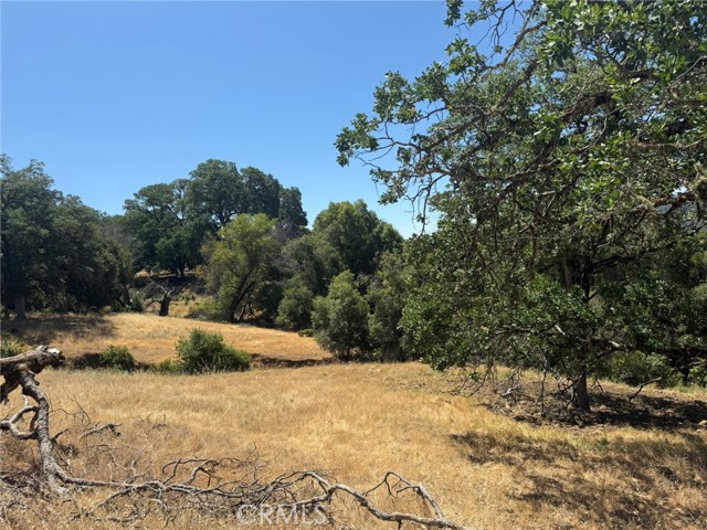 10606 Bachelor Valley Road, Upper Lake
