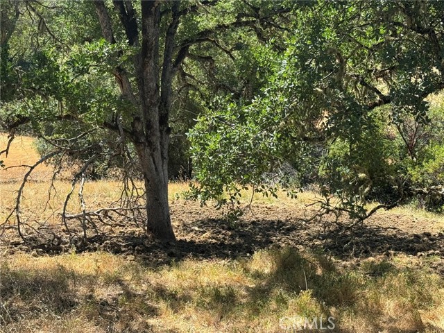 10606 Bachelor Valley Road, Upper Lake