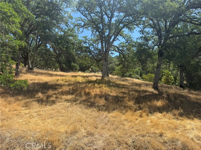 10606 Bachelor Valley Road, Upper Lake