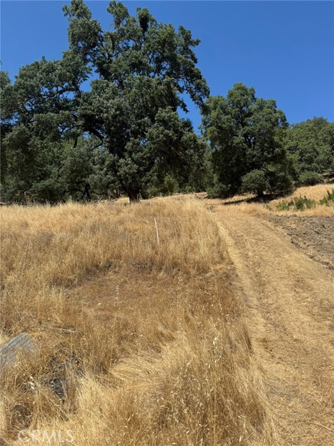 10606 Bachelor Valley Road, Upper Lake