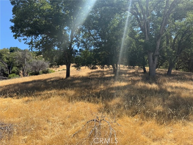 10606 Bachelor Valley Road, Upper Lake