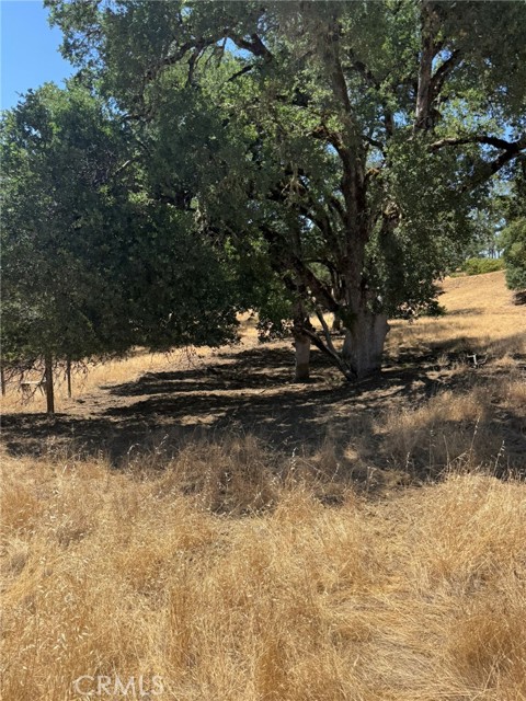 10606 Bachelor Valley Road, Upper Lake