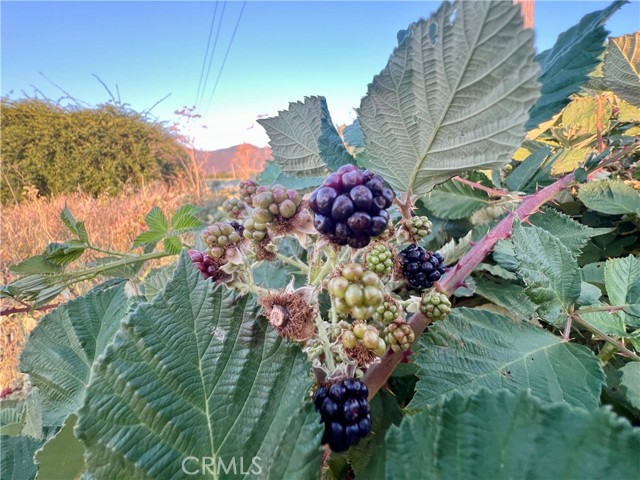 3140 Big Valley Road, Kelseyville