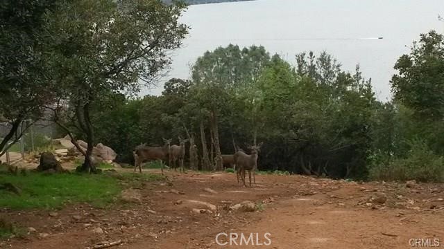 10508 Edgewater Drive, Kelseyville