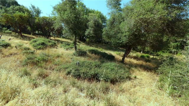 9523 Tenaya Way, Kelseyville