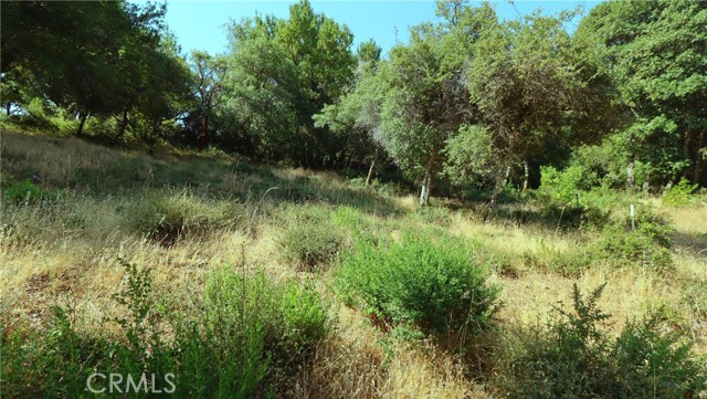 9523 Tenaya Way, Kelseyville