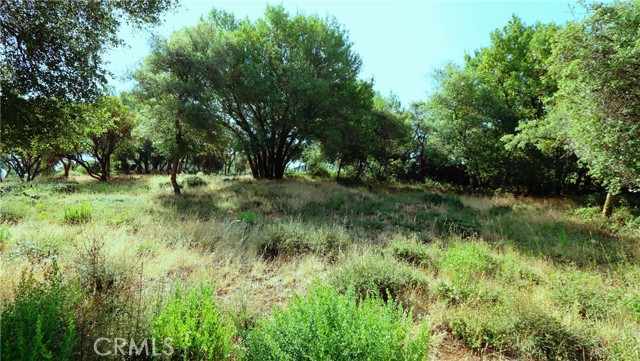9523 Tenaya Way, Kelseyville