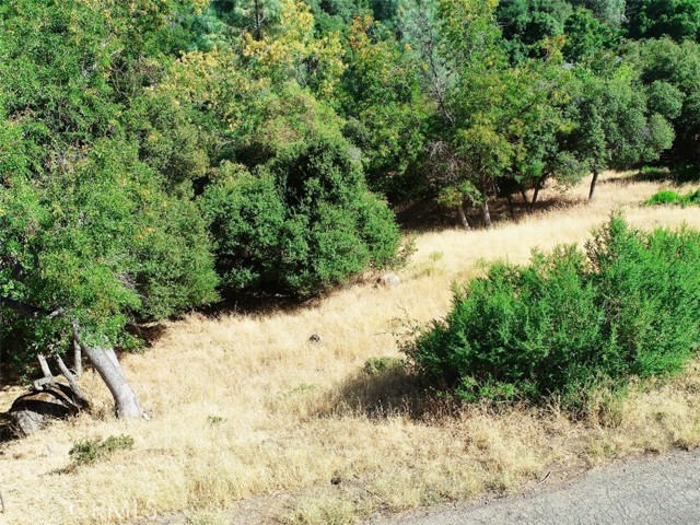 10610 Boren Bega Drive, Kelseyville
