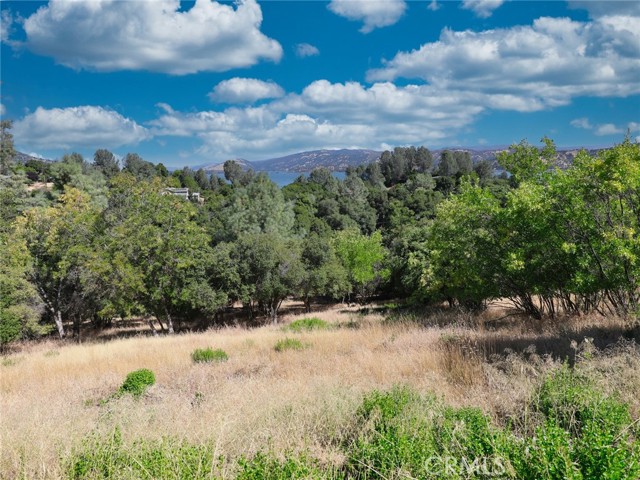 10610 Boren Bega Drive, Kelseyville