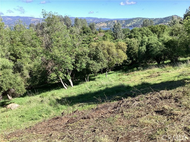 10610 Boren Bega Drive, Kelseyville