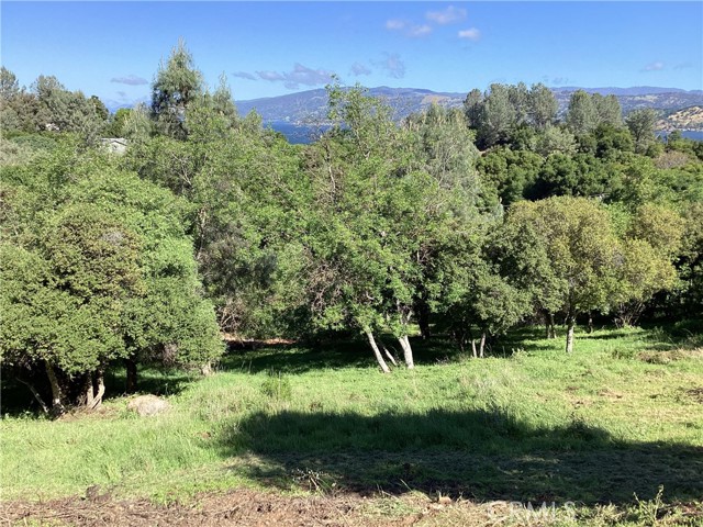 10610 Boren Bega Drive, Kelseyville