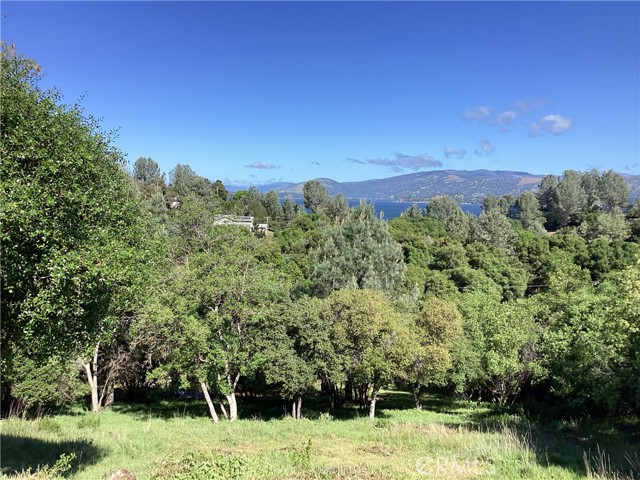 10610 Boren Bega Drive, Kelseyville