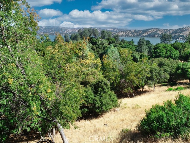 10610 Boren Bega Drive, Kelseyville