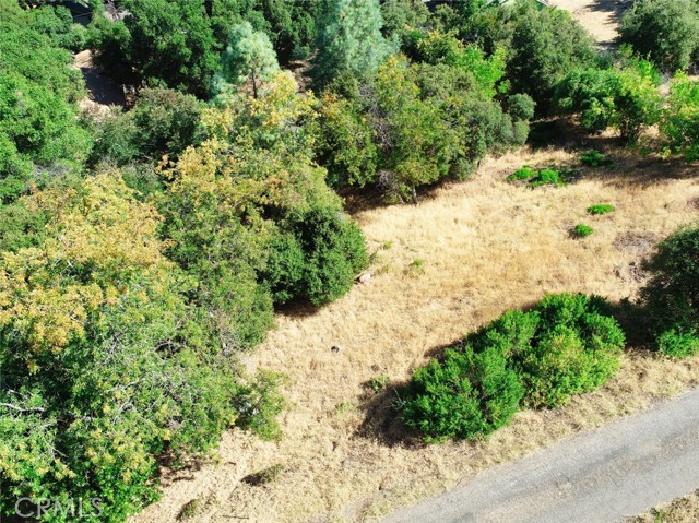 10610 Boren Bega Drive, Kelseyville