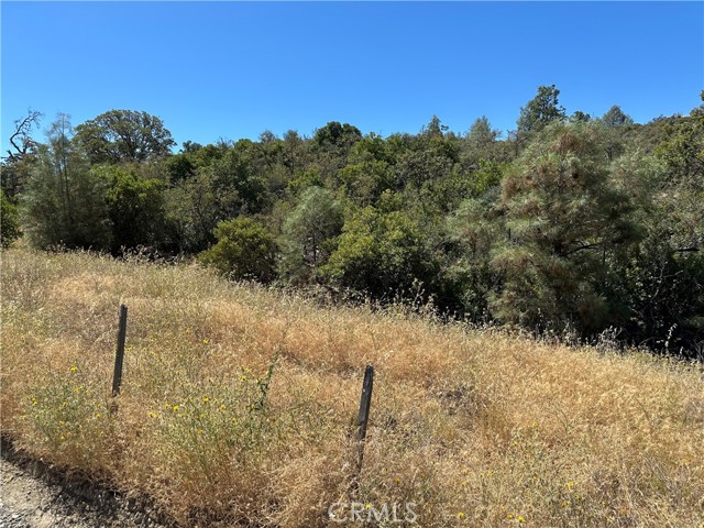 22017 No Guns Road, Clearlake Oaks