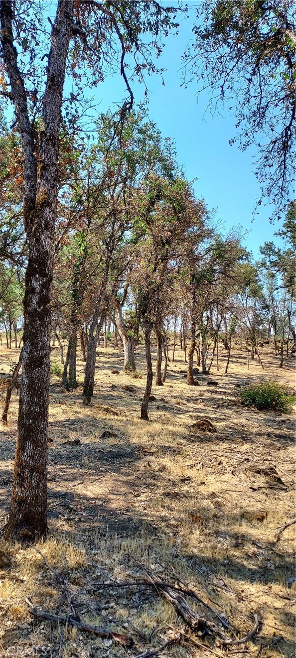 16034 13th Avenue, Clearlake