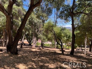 7878 Soda Bay Road