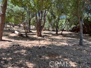 7872 Soda Bay Road