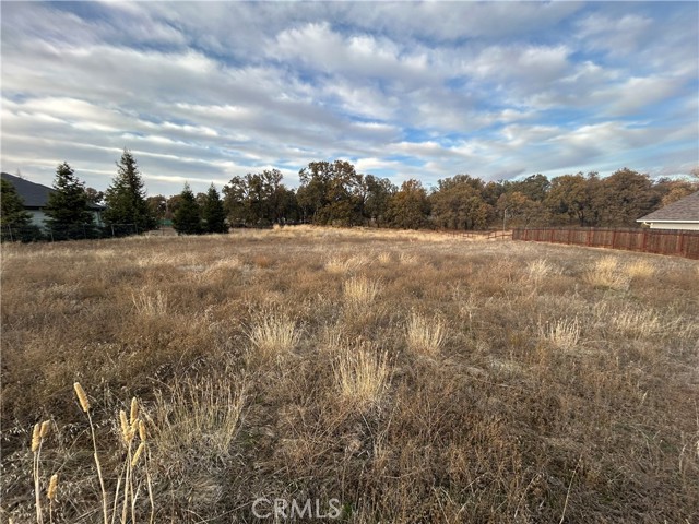 1250 Oak Park Way, Lakeport