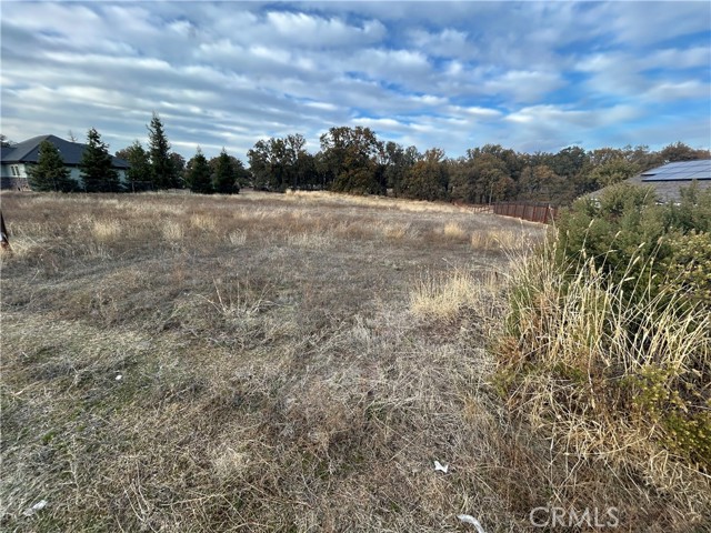 1250 Oak Park Way, Lakeport