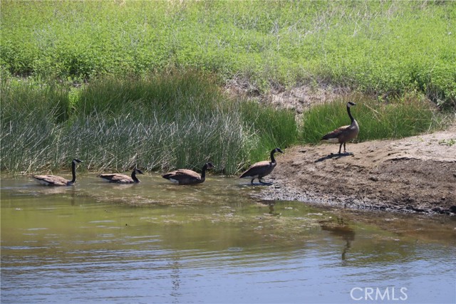 22605 Cascio Way, Lower Lake