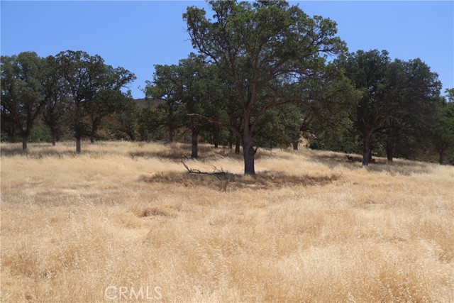 22605 Cascio Way, Lower Lake