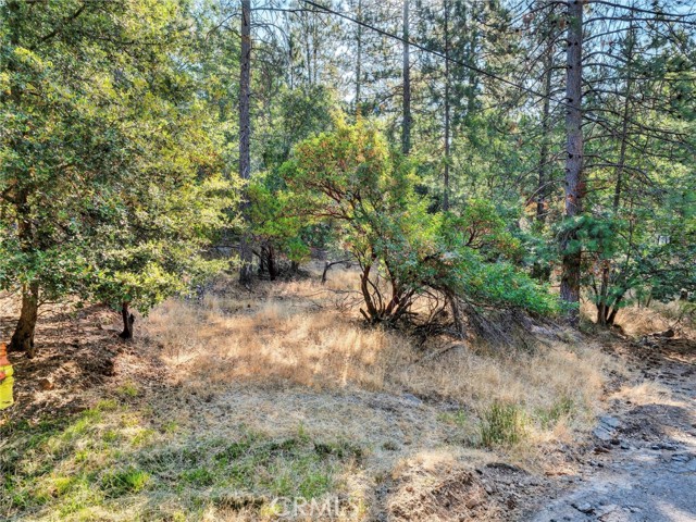 16370 Manzanita Court, Cobb