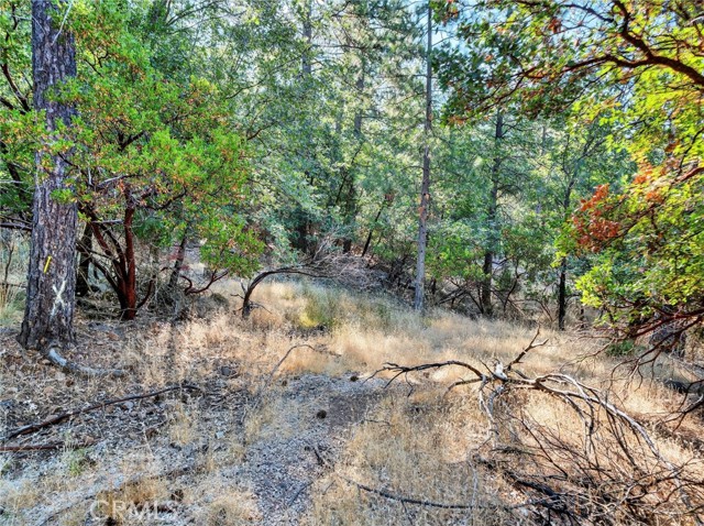 16370 Manzanita Court, Cobb