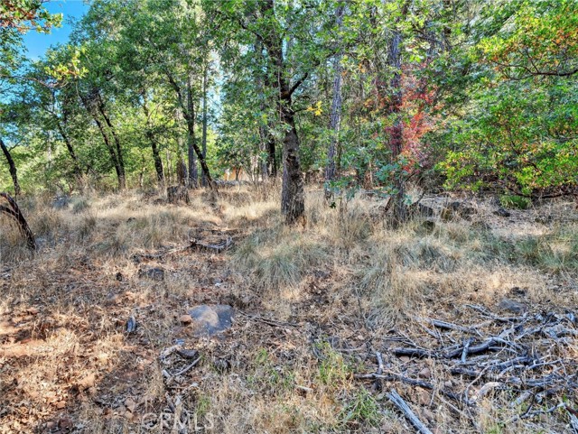 16370 Manzanita Court, Cobb