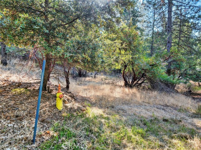 16370 Manzanita Court, Cobb