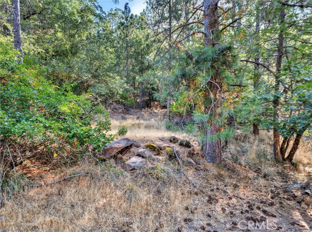 16370 Manzanita Court, Cobb