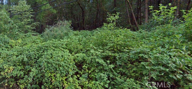 15845 Bottle Rock Road, Cobb