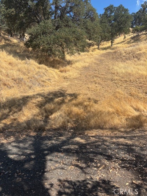 10877 Crestview Drive, Clearlake