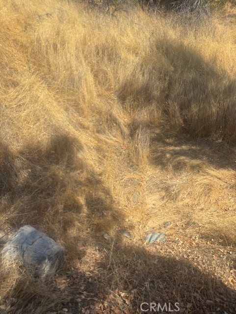 10877 Crestview Drive, Clearlake