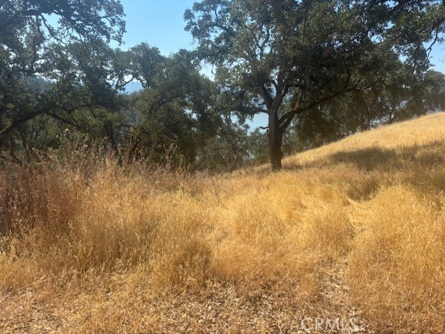 10877 Crestview Drive, Clearlake