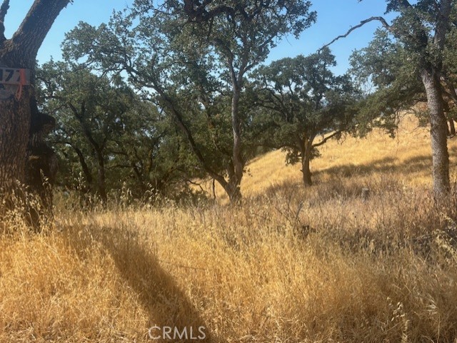 10877 Crestview Drive, Clearlake