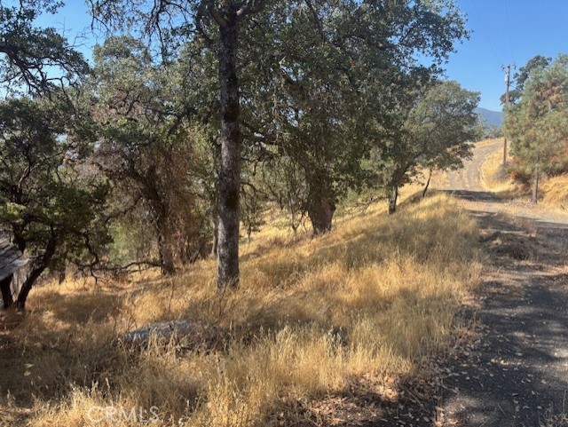 10877 Crestview Drive, Clearlake