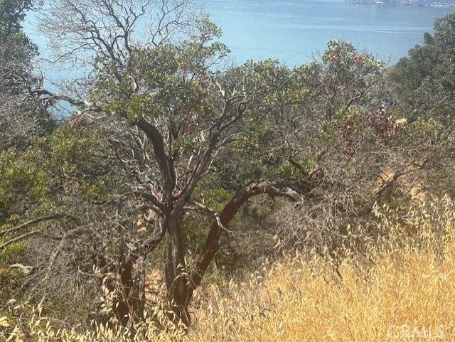 10877 Crestview Drive, Clearlake