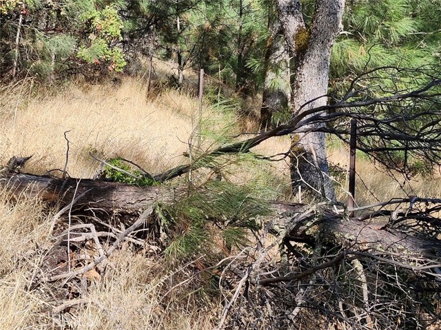 9500 Glenhaven Drive, Glenhaven