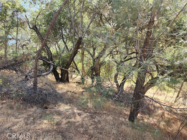 9500 Glenhaven Drive, Glenhaven